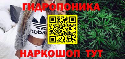 стафф Заводоуковск
