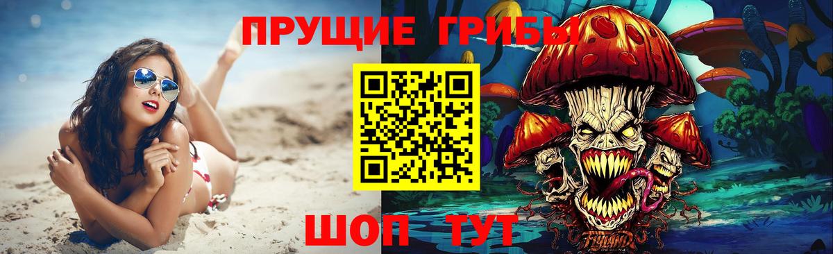 Псилоцибиновые грибы Magic Shrooms Курчалой